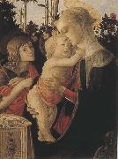 Madonna of the Rose Garden or Madonna and Child with St John the Baptist Sandro Botticelli